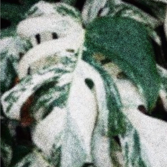 Tarot Card Enamel Pin - The Pizza - Picture 2 of 3